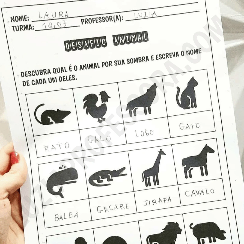 Desafio animal com sombras